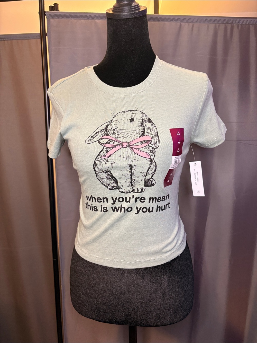 Mint Green Short Sleeve Graphic Tee with Bunny and Pink Bow